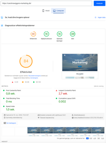 caroline wiggers pagespeed insights